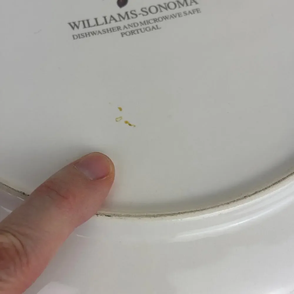 Williams Sonoma Olive Grove Pasta 13